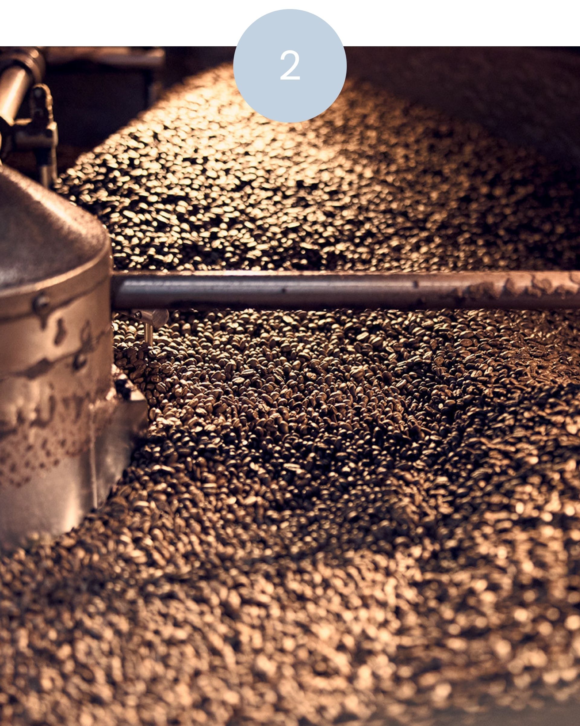 frisch geröstete Kaffeebohnen verlassen die Trommel des Röstwerks