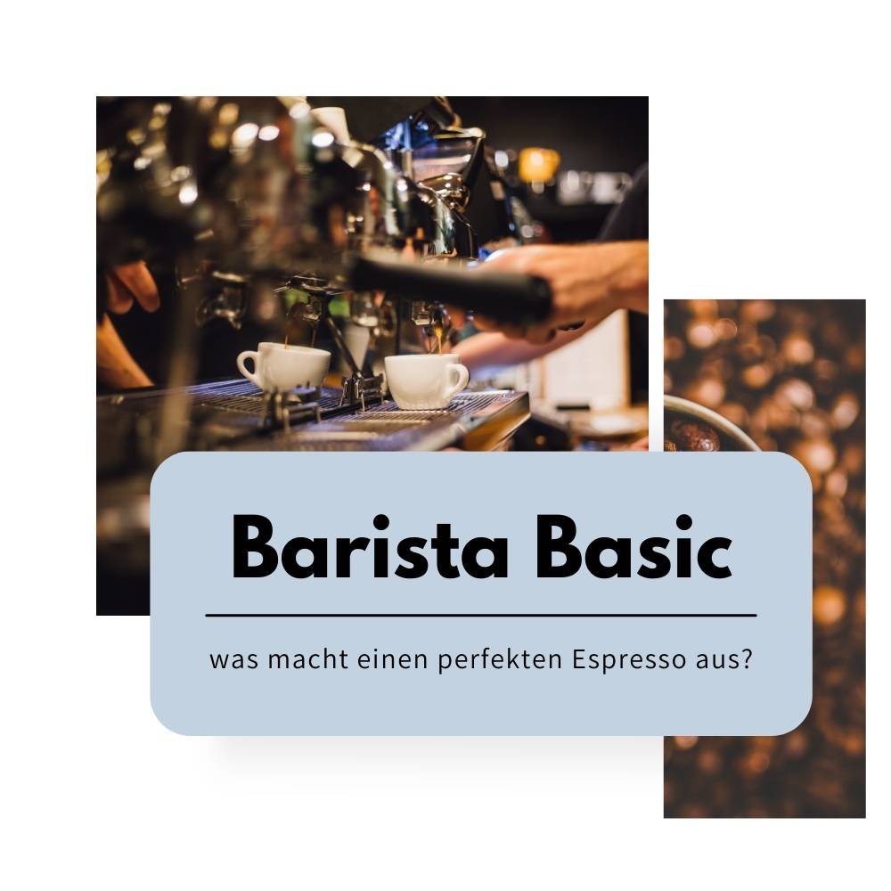 Barista Basic Workshop