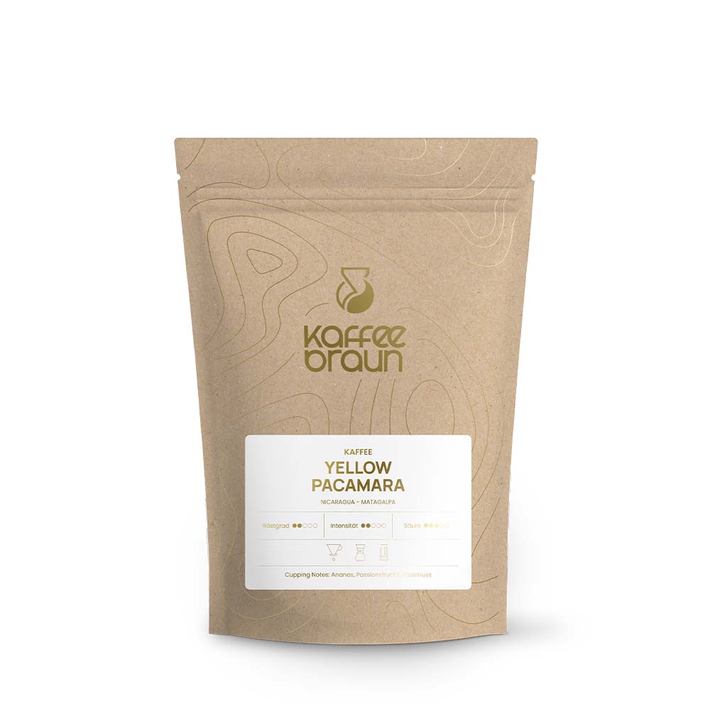 Yellow Pacamara