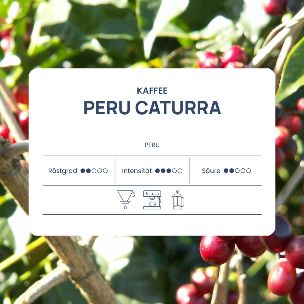 Caturra - Peru