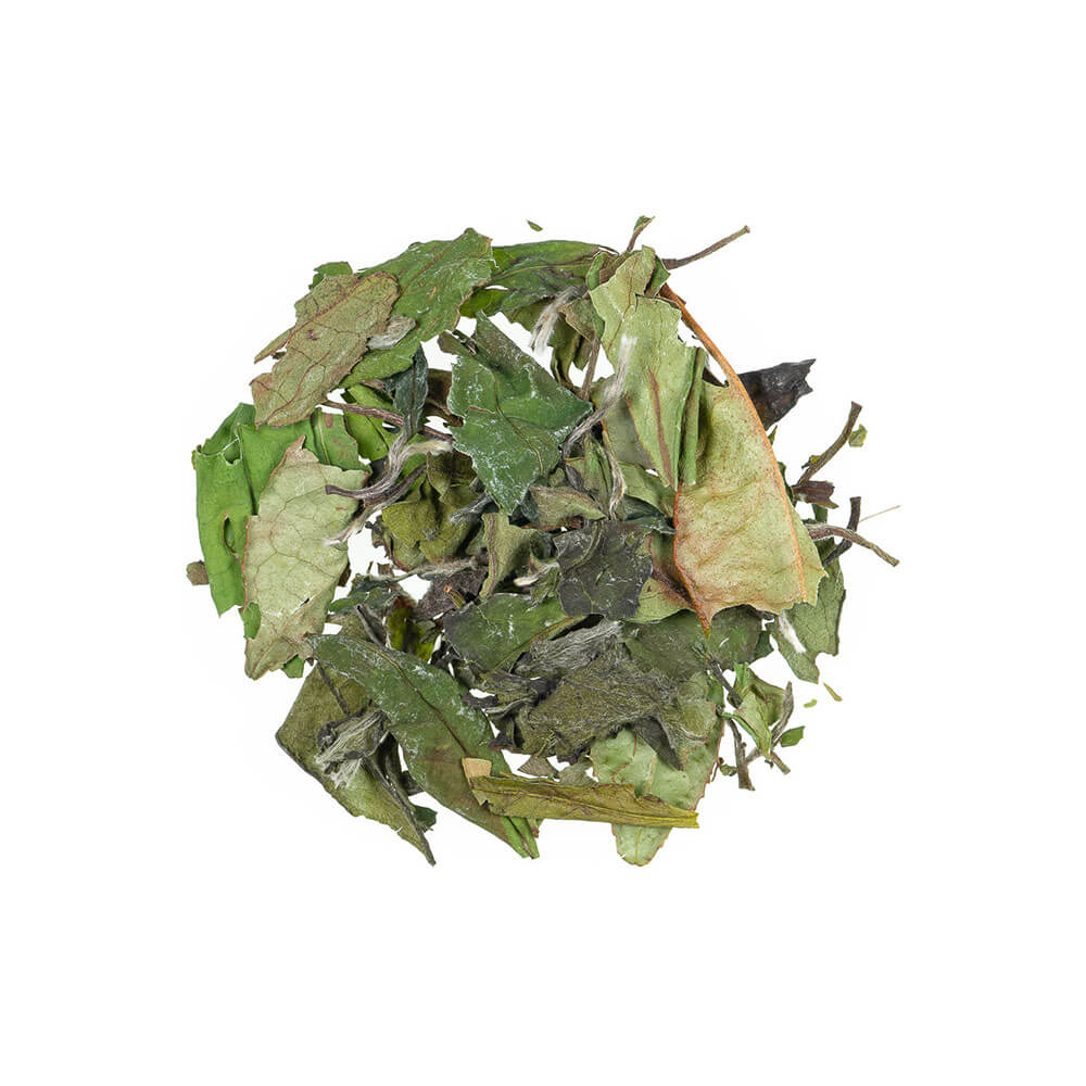 Pai Mu Tan - Bio Weißer Tee