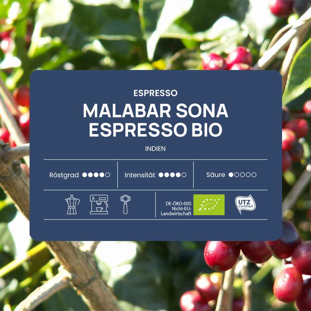 Espresso Malabar Sona Bio