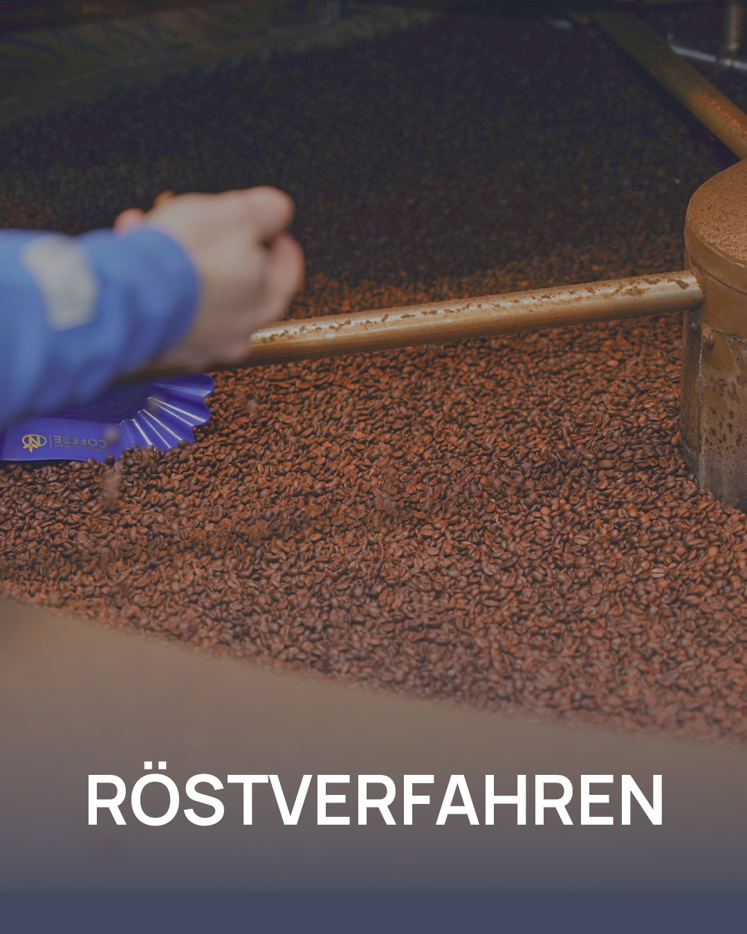 Hand greift in frisch geröstete Kaffeebohnen
