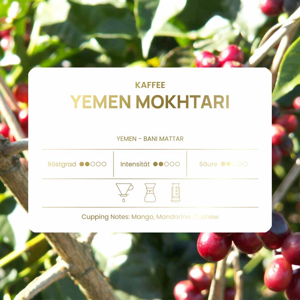 Yemen Mokhtari