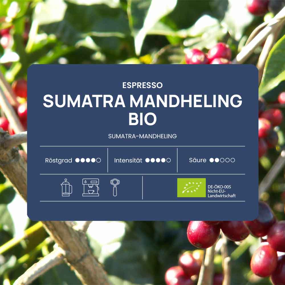 Sumatra Mandheling Bio