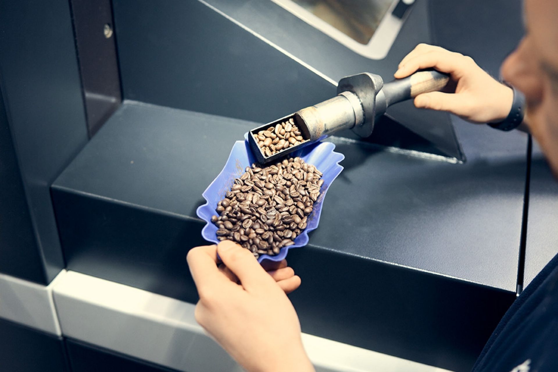Röstkaffeeprobe wird gezogen