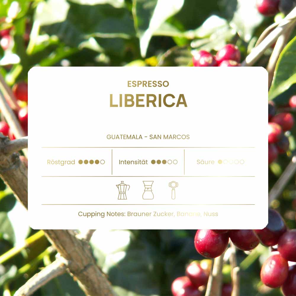 Liberica Espresso - Guatemala
