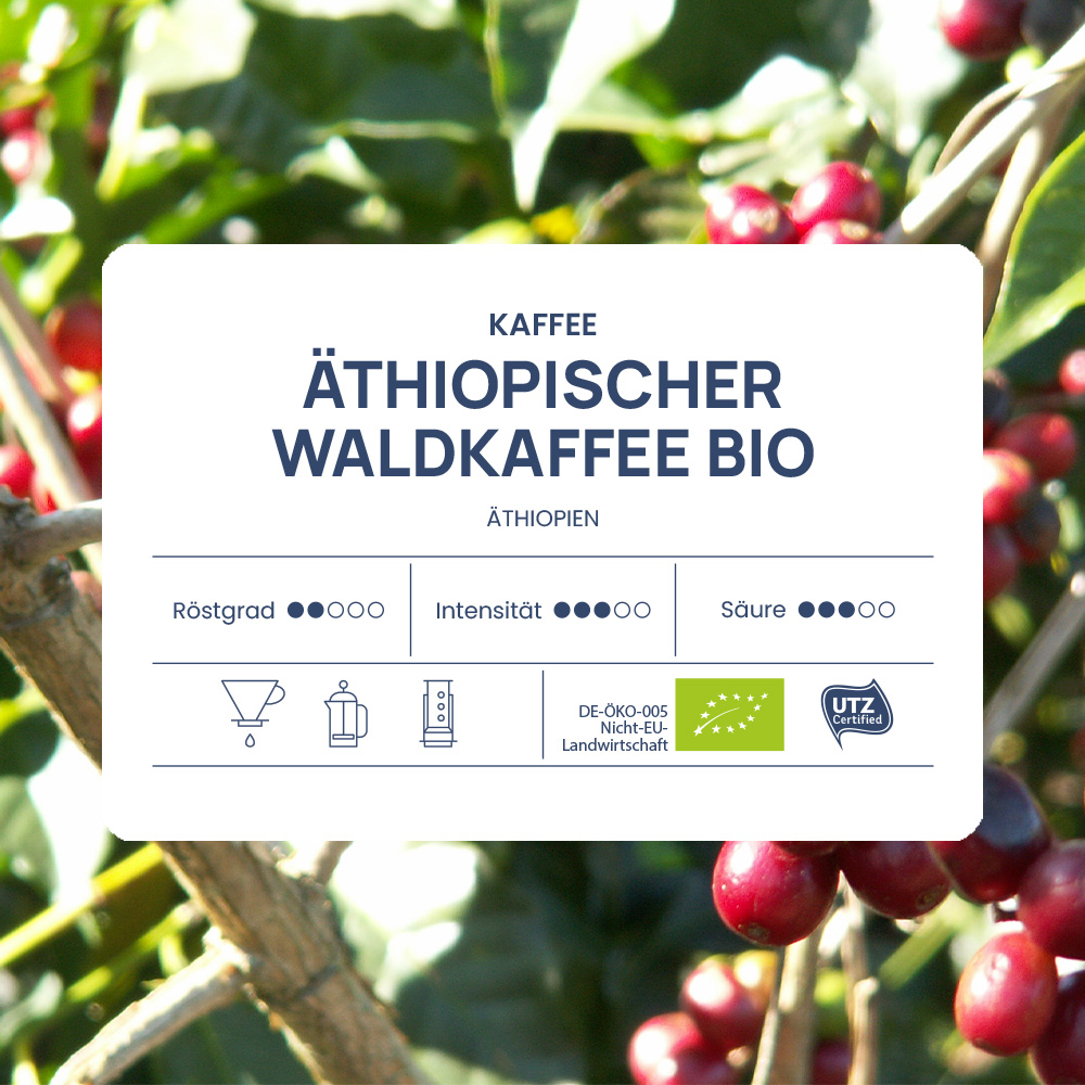 Äthiopischer Waldkaffee Bio