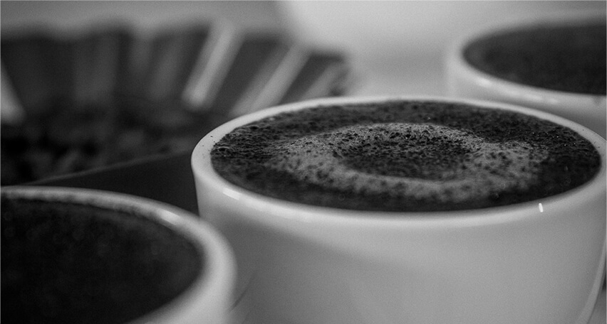 Cuppingtassen Nahaufnahe von Cuppingtassen mit Kaffee darin