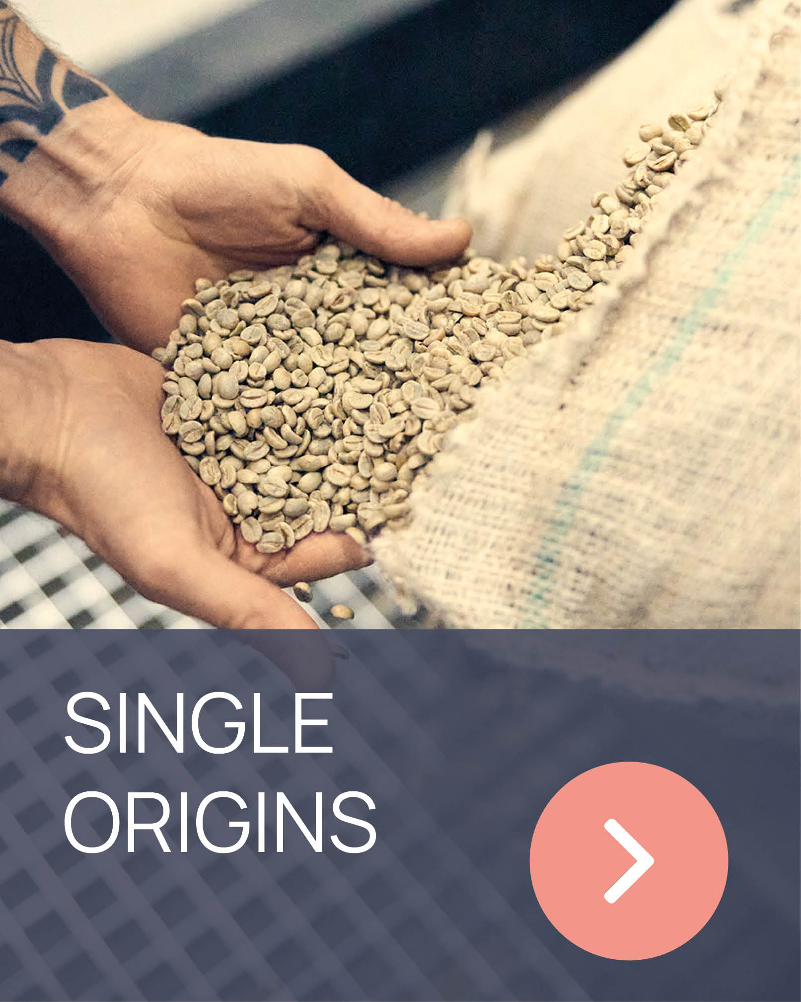 Single Origins Kategorie Single Origins